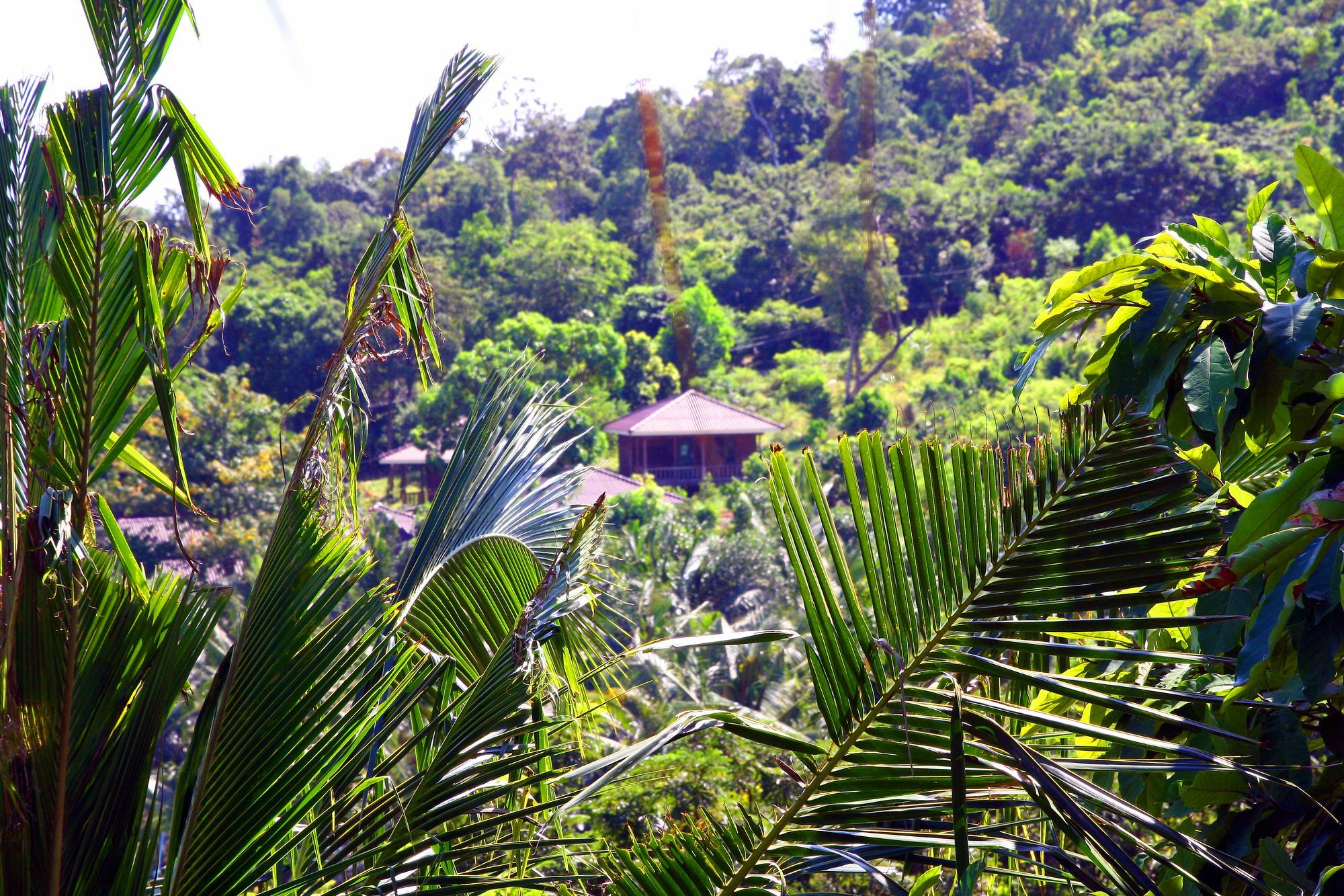 Coco Boutique Resort Kaoh Touch Buitenkant foto